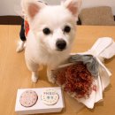 배배앤추 이미지