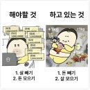 망미이모국수 | [임신 31-34주차] 임산부 일상 🕊️ 선택제왕 결정 🪢 백일해 주사 💉