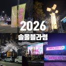 이브닝 줌바댄스(야간) | 2026 강릉 벚꽃축제 총정리 (경포·남산·솔올블라썸 일정/주차/꿀팁)