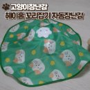 사락천 | 헤이홈 꼬리잡기 자동 장난감