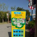 레고랜드 푸드코트 (26년 4월 후기)