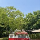 (주)스파밸리 썰매장 | 스페셜 포토덤프 1 -대구 교감형 생태 동물원 네이처파크