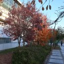 진중1리 이미지