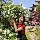 선샤인스포츠 이미지