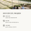 데이지가든 네이버블로그
