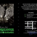 엔케이21 이미지