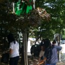 만안초교_상 이미지