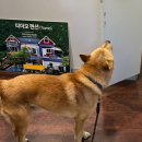 띠아모 펜션 | 경주 불국사 근처 가족여행 숙소 후기 &lt;띠아모펜션&gt; (ft. 바베큐, 수영장, 주차장)