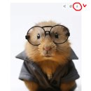 [서부] 스마트폰 고수되기 | 서부면허시험장 운전면허 갱신 후기 | 건강검진 기록 없을 때 준비물·비용·시간 _ feat. 포토몬/증명사진