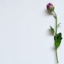 리앤리 주식회사 이미지