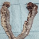 한라동물종합병원 이미지