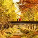 (주)경주산림환경 이미지