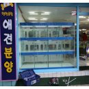 멍멍클럽 이미지