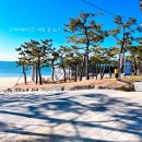 대천농협해수욕장지점 | 대천 보령 가볼만한곳 대천해수욕장 근처 놀거리 스카이바이크 후기 소요시간 정보 꿀팁