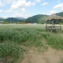 평창이야기 이미지