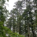 마이따 떡볶이 이미지