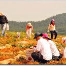 석호농장 이미지