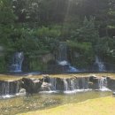 한국궁중꽃박물관 이미지