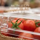 행운농산물 | 2026 수원시 임산부 농산물 지원 확정!신청기간 및 방법 (추첨식임)