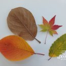 플레리르아트스튜디오