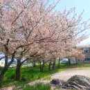 화북진지 이미지