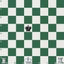 체크메이트 룩 이미지