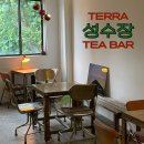 성수장 | 성수장테라 힙한 감성과 분위기 티바 (Tea Bar) 서울숲/ 뚝섬역 사이