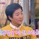 멜팅포인트 이미지