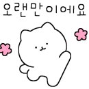 어여와 1호 이미지
