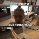 전진목장 이미지