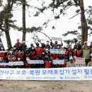 해안사구 이미지