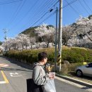 66로드카페 | 대구 대형카페 송해공원 벚꽃 카페 추천 통창뷰 마지카운티