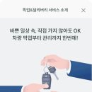 애니카랜드 양재남부점 이미지