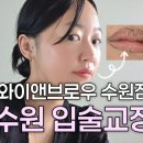 행정용 53 | 수원역 틴트립 자연스러운 수원 입술교정 대만족 후기, 와이앤브로우 수원점