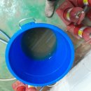 수원세관 이미지