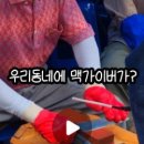 양평2동-15 이미지