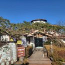 정월대보름 맞이 건강한 한끼 나물밥상 만들기 | 양평 연꽃언덕 솔직 후기｜두부전골로 시작해 여운까지 남는 건강한 한 끼