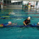 종곡초등학교 이미지