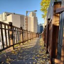 외주목어린이공원 이미지