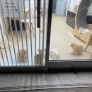 굽네치킨(이문2호점) 이미지