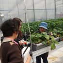 용기네 농장 이미지