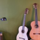 클래식&포크기타(입문) 이미지