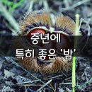 중년에 특히 좋은 밤 이미지