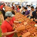 토마토온누리약국 이미지