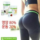 오늘다이어트