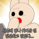 샌드선샤인 네이버블로그
