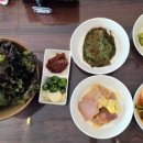 까멜리아 이미지