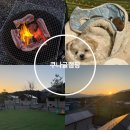 3635 | 포천 글램핑 추천 쿠나글램핑 애견동반 숙박 솔직후기 알려드려요