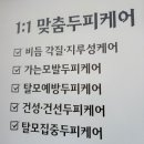도노포레스타화도