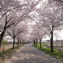 경포저류지 이미지